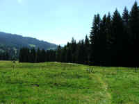 dscf1254.jpg (70571 Byte)