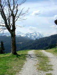 tst2_1 115b.jpg (92800 Byte)