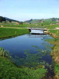 tst2_1 196.jpg (83689 Byte)