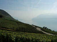 DSCF1504_1.jpg (60390 Byte)