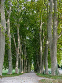 DSCF1554_1.jpg (137665 Byte)