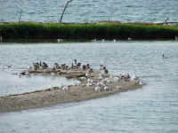 DSCF1574_1.jpg (94466 Byte)