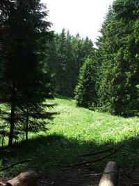 DSCF0852.jpg (108206 Byte)