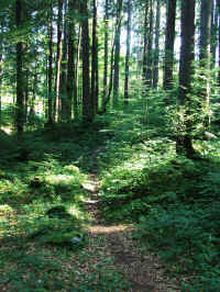 DSCF1304.jpg (149076 Byte)