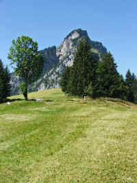 DSCF1333_b.jpg (105140 Byte)