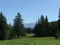 DSCF1349.jpg (63102 Byte)