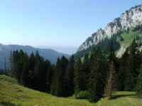 DSCF1358.jpg (62805 Byte)