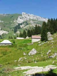 DSCF1361_b.jpg (101679 Byte)