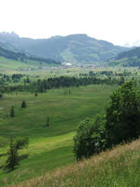 dscf0731.jpg (121777 Byte)