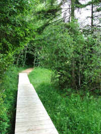 DSCF0788.jpg (146043 Byte)