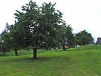 DSCF08091.jpg (83931 Byte)