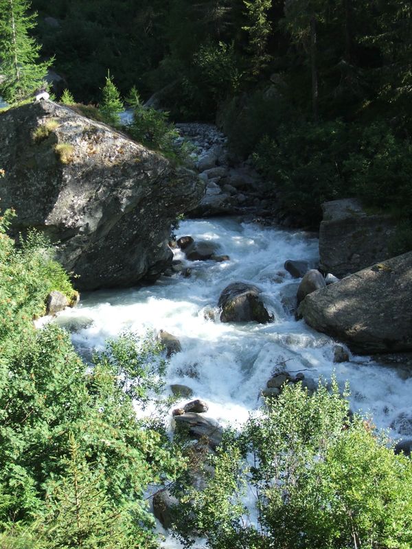 11.jpg - Le Trient