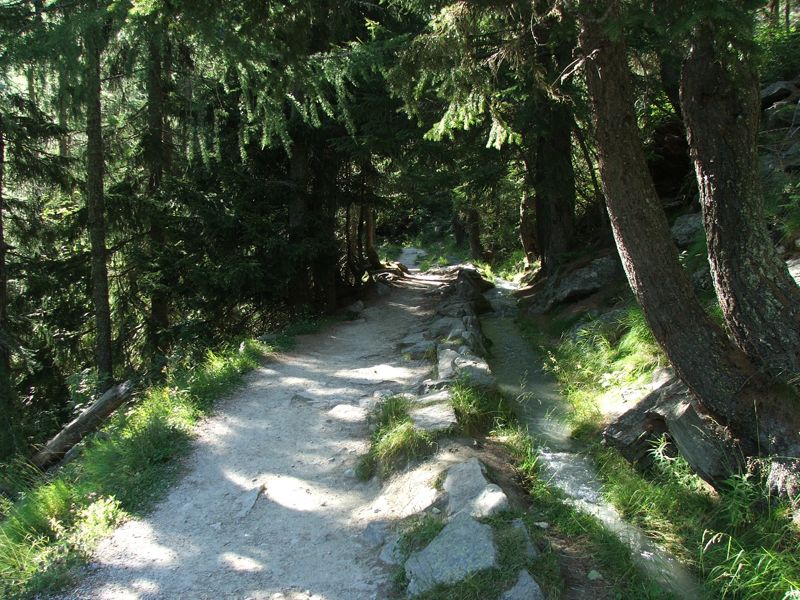 12.jpg - Bisse