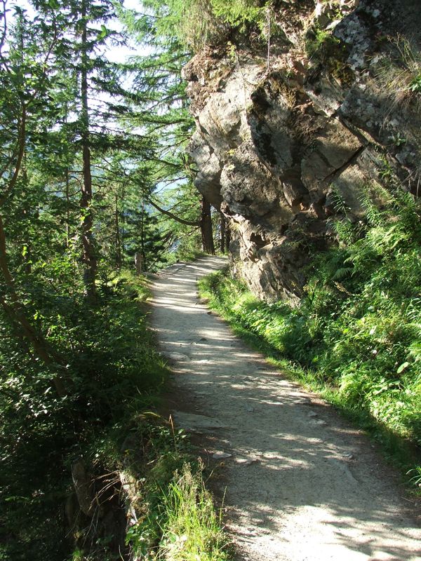 13.jpg - Bisse