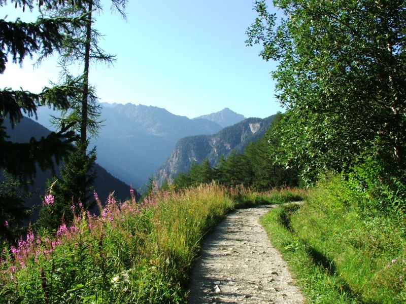 14.jpg - Bisse
