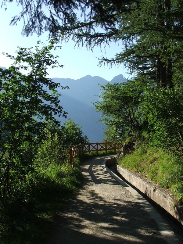 15.jpg - Bisse