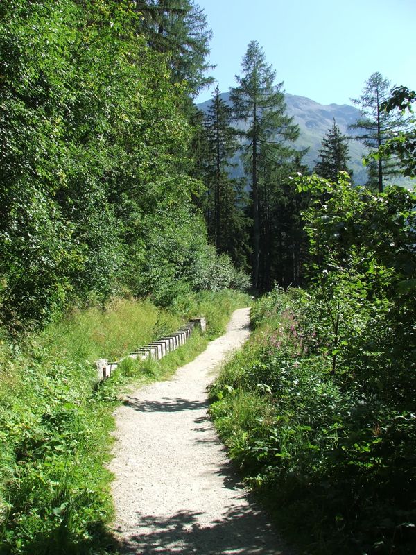 2.jpg - Bisse vom Glacier de Trient zum Col de la Forclaz