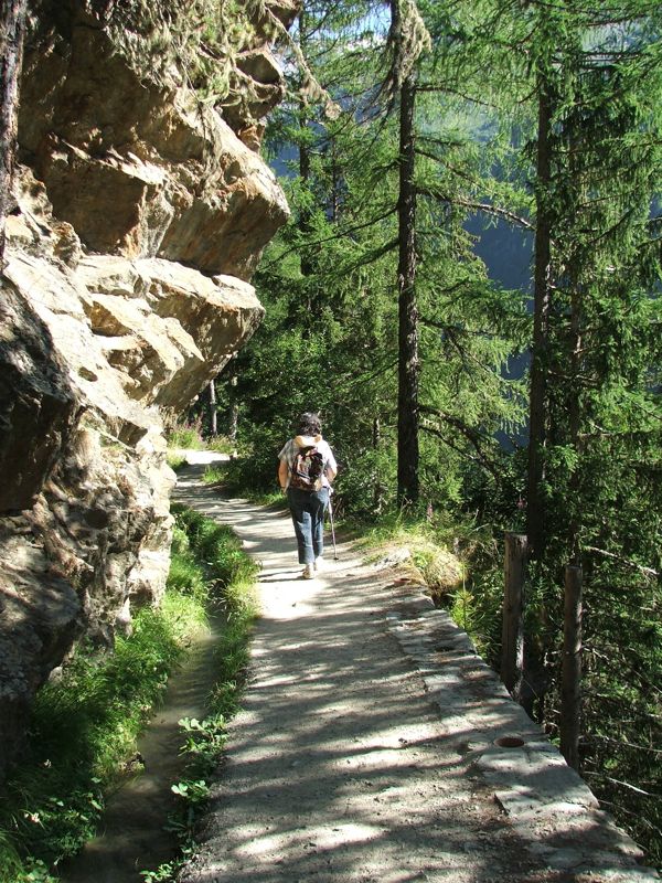 3.jpg - Bisse