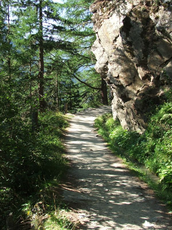 4.jpg - Bisse