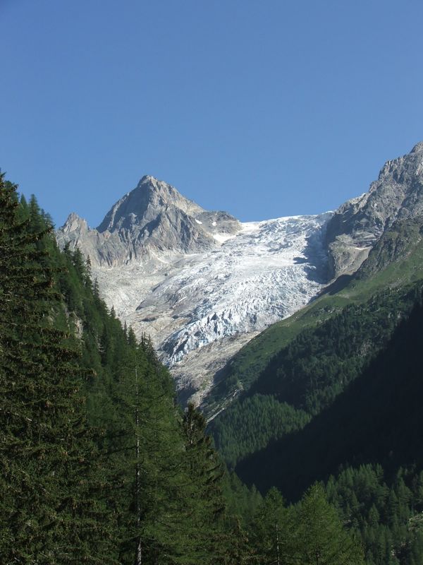 5.jpg - Glacier de Trient