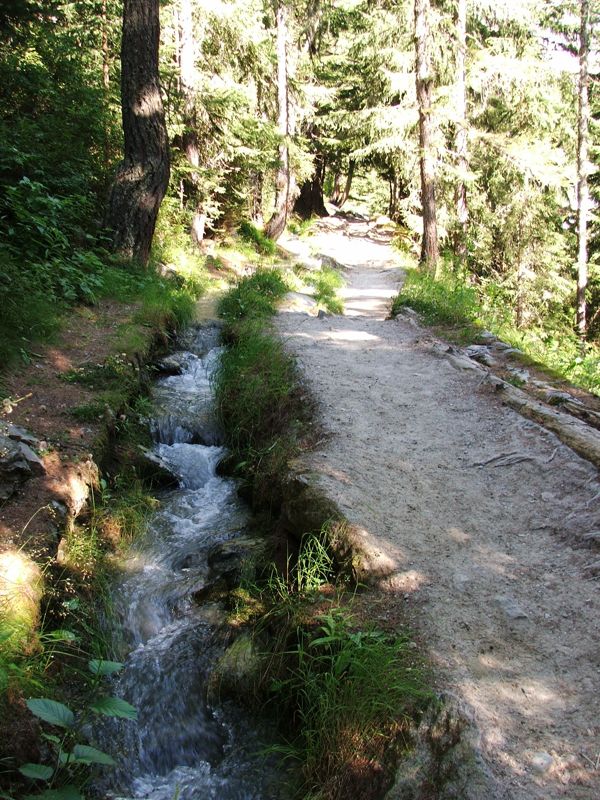 9.jpg - Bisse