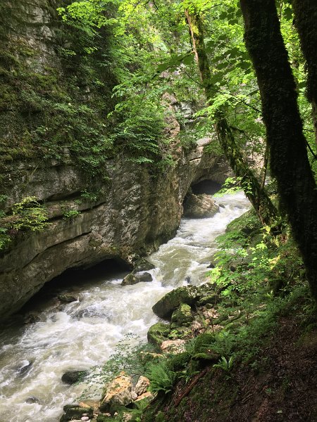 IMG_5721.jpg - Wildwasser