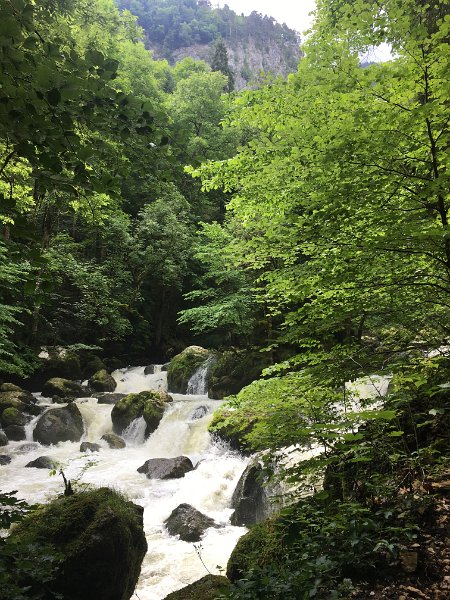 IMG_5754.jpg - Wildbach