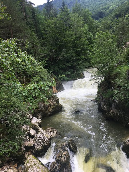 IMG_5778.jpg - Vor dem Saut