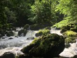 IMG_5749