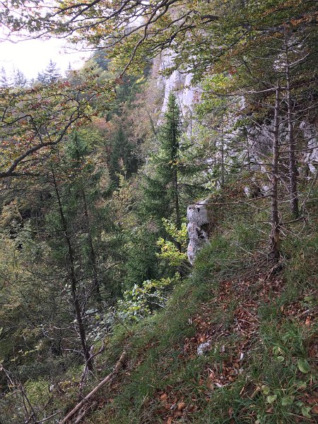 IMG_2604.jpg - Grat zum Hellch�pfli