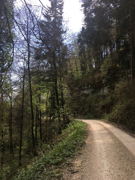 IMG_3194.jpg - Oberhalb der Twannbachschlucht