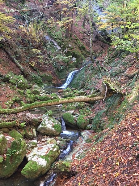 IMG_4606.jpg - Gorges de Covatanne