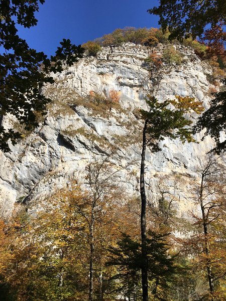 IMG_4610.jpg - In der Schlucht