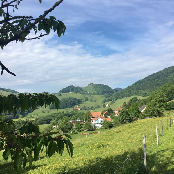 IMG_5596.jpg - Ifenthal