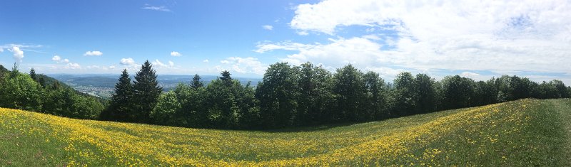 IMG_5640.jpg - Panorama