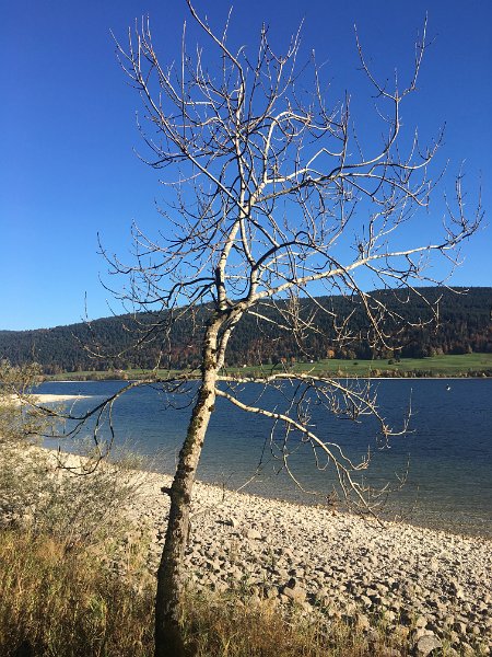 IMG_4644.jpg - Herbstlicht