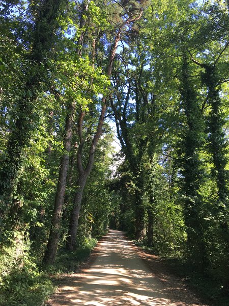 IMG_4310.jpg - Heideweg