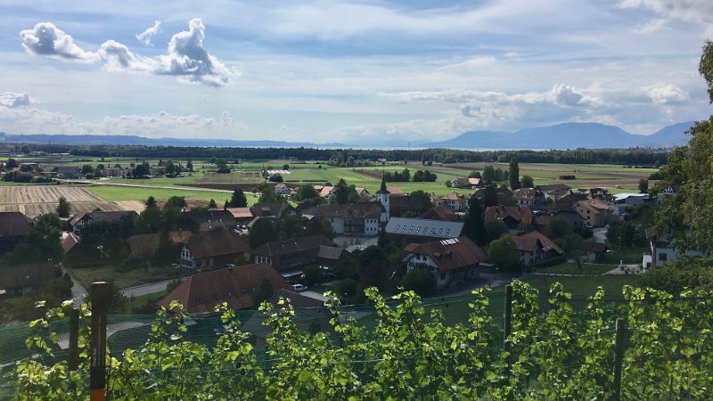 IMG_4339.jpg - Gampelen und Neuenburgersee