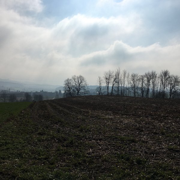 IMG_0981.jpg - Blick Richtung Stetten