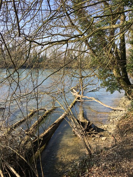 IMG_0991.jpg - Reussufer