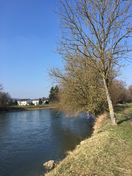 IMG_0993.jpg - Uferweg