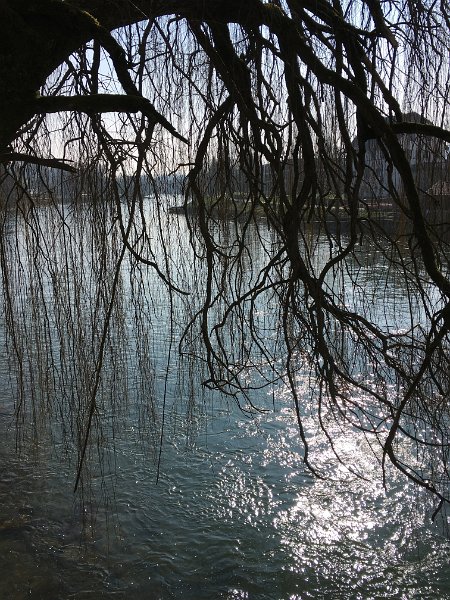 IMG_0996.jpg - Reusssteg