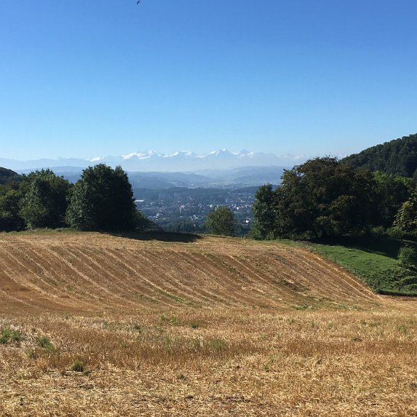 IMG_2403.jpg - Aarau und Alpen