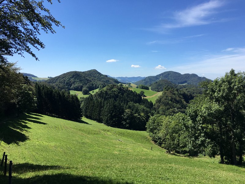 IMG_2450.jpg - Bergmatten