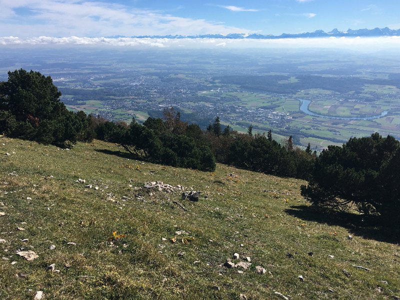 IMG_2657.jpg - Aare und Alpen