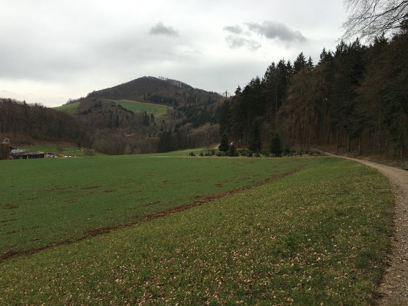 IMG_1042.jpg - Hinter der Egg, zwischen Gatter und Staffelegg